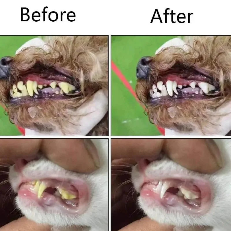 1-20pcs Pet Silicone Finger Toothbrush Soft Cots Cats Dogs Brushing Accessories Pet Teeth Oral Cleaning Supplies Removing Tartar