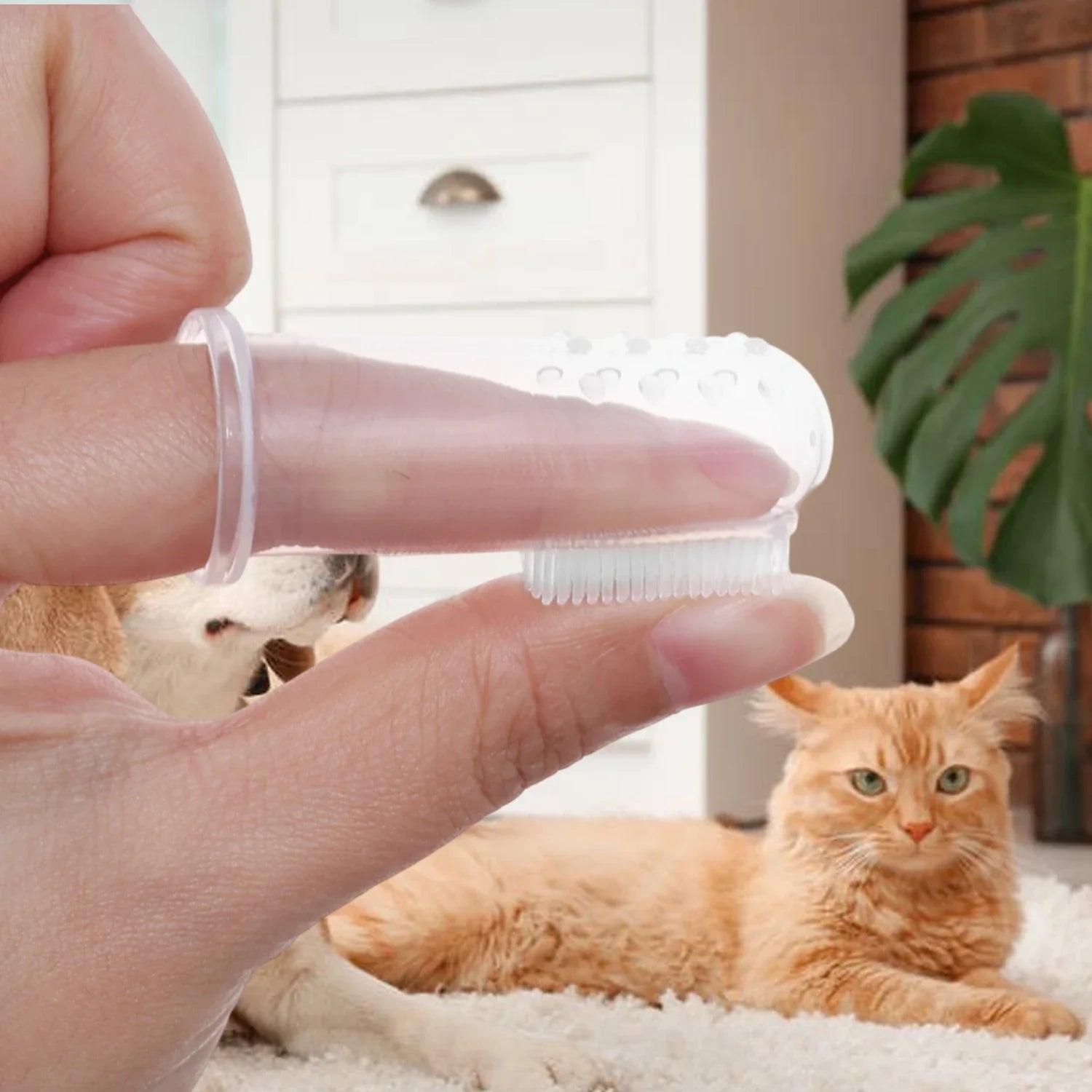 1-20pcs Pet Silicone Finger Toothbrush Soft Cots Cats Dogs Brushing Accessories Pet Teeth Oral Cleaning Supplies Removing Tartar