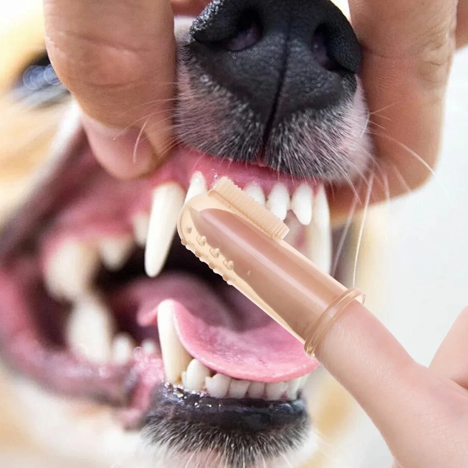 1-20pcs Pet Silicone Finger Toothbrush Soft Cots Cats Dogs Brushing Accessories Pet Teeth Oral Cleaning Supplies Removing Tartar