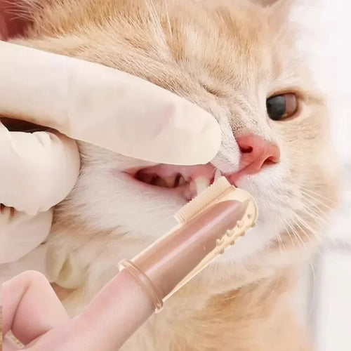 1-20pcs Pet Silicone Finger Toothbrush Soft Cots Cats Dogs Brushing Accessories Pet Teeth Oral Cleaning Supplies Removing Tartar